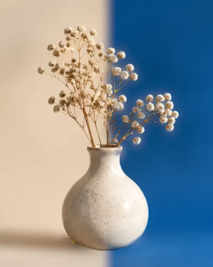 The vase photo with soft background blur behind it