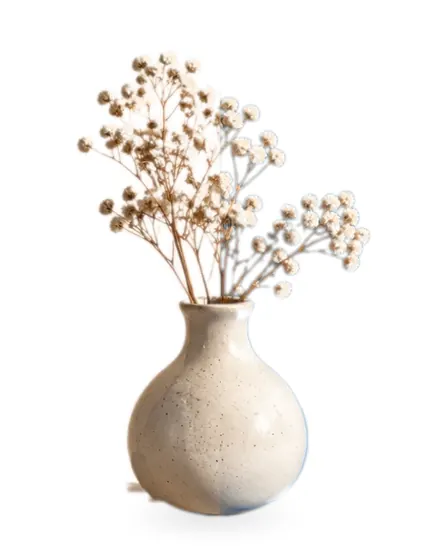 The vase photo with shop-ready white behind it
