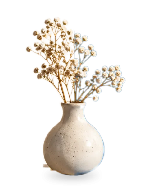 A white vase of dried flowers, cut out from its photo and placed on a new background